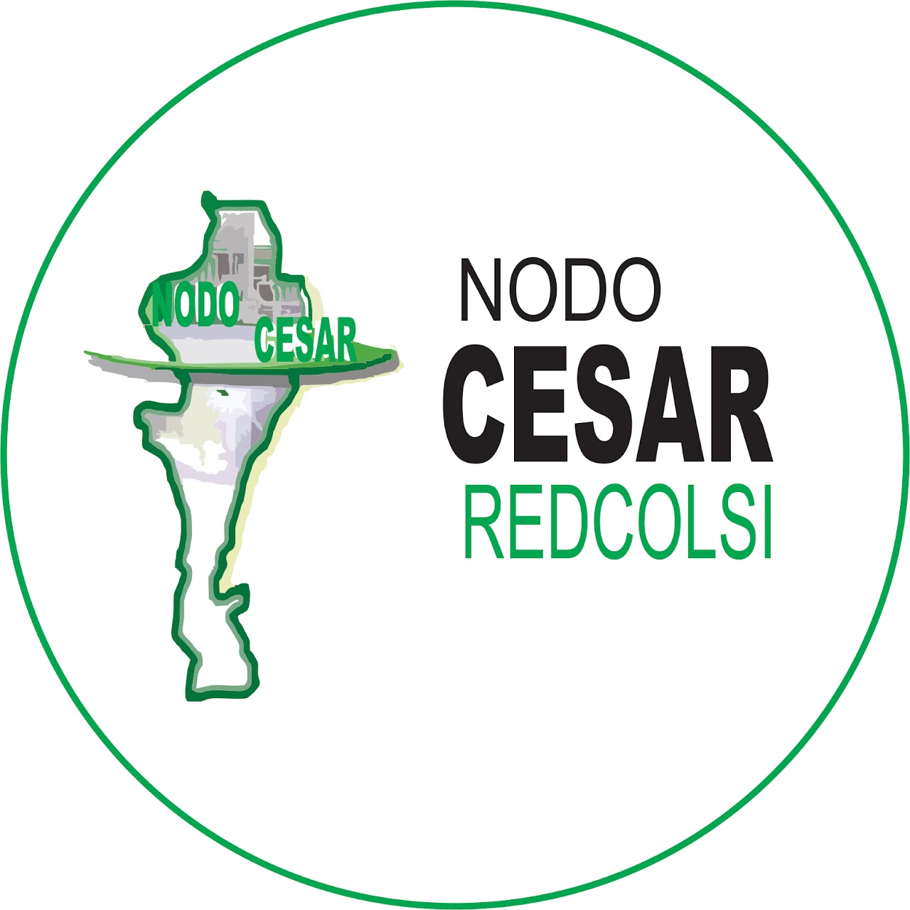 RedCOLSI Plataforma